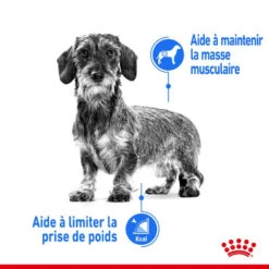 ROYAL CANIN CCN Mini Light Weight Care 8kg -Chien Fournitures Boutique fre pl ROYAL CANIN CCN Mini Light Weight Care 8kg 10067 5