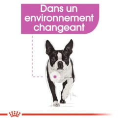 ROYAL CANIN CCN Mini Relax Care 1kg -Chien Fournitures Boutique fre pl ROYAL CANIN CCN Mini Relax Care 1kg 16289 6