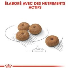 ROYAL CANIN CCN Mini Sterilised 8kg -Chien Fournitures Boutique fre pl ROYAL CANIN CCN Mini Sterilised 8kg 16292 4