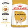 ROYAL CANIN Chihuahua Adult 500g X2 -Chien Fournitures Boutique fre pl ROYAL CANIN Chihuahua Adult 500g x2 30761 1
