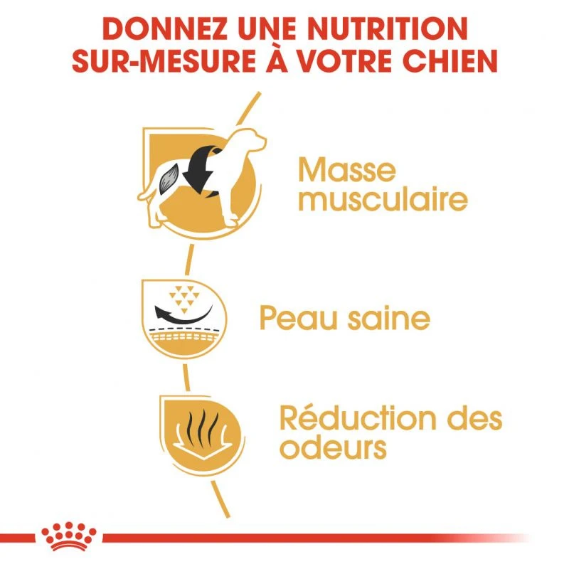 ROYAL CANIN French Bulldog Adult 1,5kg 6 ROYAL CANIN French Bulldog Adult 1,5kg – Image 4