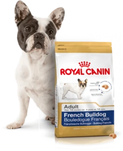 ROYAL CANIN French Bulldog Adult 9kg + Surprise Pour Votre Chien GRATUITES ! -Chien Fournitures Boutique fre pl ROYAL CANIN French Bulldog Adult 9kg surprise pour votre chien GRATUITES 17879 4