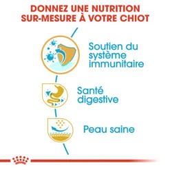 ROYAL CANIN French Bulldog Puppy 3kg -Chien Fournitures Boutique fre pl ROYAL CANIN French Bulldog Puppy 3kg 15997 5