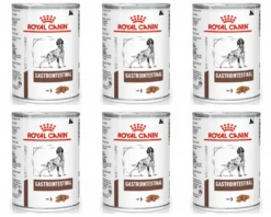 ROYAL CANIN Gastrointestinal 6x 400g -Chien Fournitures Boutique fre pl ROYAL CANIN Gastrointestinal 6x 400g 25263 1