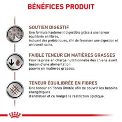 ROYAL CANIN Gastrointestinal Low Fat 6kg + Surprise Pour Votre Chien GRATUITES ! -Chien Fournitures Boutique fre pl ROYAL CANIN Gastrointestinal Low Fat 6kg surprise pour votre chien GRATUITES 25241 4