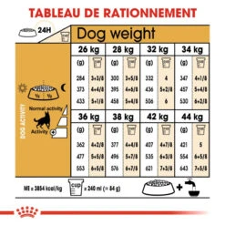 ROYAL CANIN German Shepherd Adult 11kg 13 ROYAL CANIN German Shepherd Adult 11kg -Chien Fournitures Boutique fre pl ROYAL CANIN German Shepherd Adult 11kg 9899 6