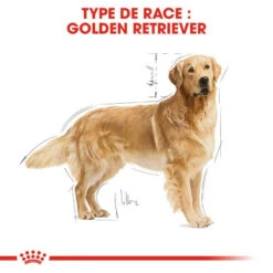 ROYAL CANIN Golden Retriever Adult 12kg -Chien Fournitures Boutique fre pl ROYAL CANIN Golden Retriever Adult 12kg 16018 3