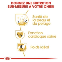 ROYAL CANIN Golden Retriever Adult 12kg -Chien Fournitures Boutique fre pl ROYAL CANIN Golden Retriever Adult 12kg 16018 5