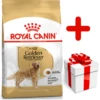 ROYAL CANIN Golden Retriever Adult 12kg + Surprise Pour Votre Chien GRATUITES ! 2 ROYAL CANIN Golden Retriever Adult 12kg + Surprise Pour Votre Chien GRATUITES ! -Chien Fournitures Boutique fre pl ROYAL CANIN Golden Retriever Adult 12kg surprise pour votre chien GRATUITES 17874 1