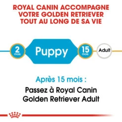 Produits populaires -Chien Fournitures Boutique fre pl ROYAL CANIN Golden Retriever Puppy 3kg 16020 3