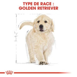 ROYAL CANIN Golden Retriever Puppy 3kg -Chien Fournitures Boutique fre pl ROYAL CANIN Golden Retriever Puppy 3kg 16020 6