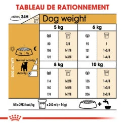 ROYAL CANIN Jack Russell Terrier Adult 500g -Chien Fournitures Boutique fre pl ROYAL CANIN Jack Russell Terrier Adult 500g 16917 5