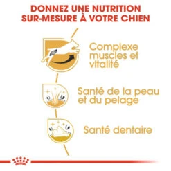 ROYAL CANIN Jack Russell Terrier Adult 500g -Chien Fournitures Boutique fre pl ROYAL CANIN Jack Russell Terrier Adult 500g 16917 6