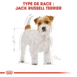 ROYAL CANIN Jack Russell Terrier Adult 500g -Chien Fournitures Boutique fre pl ROYAL CANIN Jack Russell Terrier Adult 500g 16917 7
