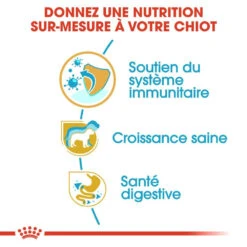 ROYAL CANIN Jack Russell Terrier Puppy 3kg -Chien Fournitures Boutique fre pl ROYAL CANIN Jack Russell Terrier Puppy 3kg 16918 3