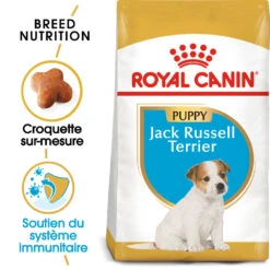 ROYAL CANIN Jack Russell Terrier Puppy 500g -Chien Fournitures Boutique fre pl ROYAL CANIN Jack Russell Terrier Puppy 500g 15346 3