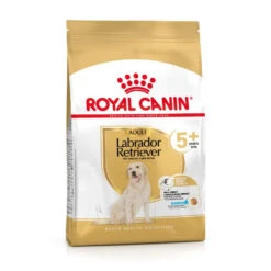 Produits populaires -Chien Fournitures Boutique fre pl ROYAL CANIN Labrador Retriever Adult 5 12kg 12525 2