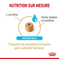 ROYAL CANIN Labrador Retriever Adult 5+ 3kg -Chien Fournitures Boutique fre pl ROYAL CANIN Labrador Retriever Adult 5 3kg 12526 3