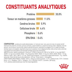 ROYAL CANIN Labrador Retriever Adult 5+ 3kg -Chien Fournitures Boutique fre pl ROYAL CANIN Labrador Retriever Adult 5 3kg 12526 5