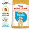 ROYAL CANIN Labrador Retriever Puppy 3kg -Chien Fournitures Boutique fre pl ROYAL CANIN Labrador Retriever Puppy 3kg 16063 1