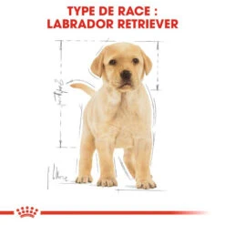 ROYAL CANIN Labrador Retriever Puppy 3kg -Chien Fournitures Boutique fre pl ROYAL CANIN Labrador Retriever Puppy 3kg 16063 3