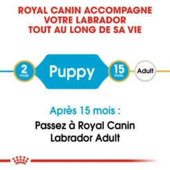ROYAL CANIN Labrador Retriever Puppy 3kg -Chien Fournitures Boutique fre pl ROYAL CANIN Labrador Retriever Puppy 3kg 16063 4