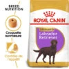 ROYAL CANIN Labrador Retriever Sterilised 12kg -Chien Fournitures Boutique fre pl ROYAL CANIN Labrador Retriever Sterilised 12kg 9273 1