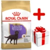 ROYAL CANIN Labrador Retriever Sterilised 12kg + Surprise Pour Votre Chien GRATUITES ! -Chien Fournitures Boutique fre pl ROYAL CANIN Labrador Retriever Sterilised 12kg surprise pour votre chien GRATUITES 17875 1