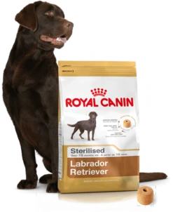 ROYAL CANIN Labrador Retriever Sterilised 12kg + Surprise Pour Votre Chien GRATUITES ! -Chien Fournitures Boutique fre pl ROYAL CANIN Labrador Retriever Sterilised 12kg surprise pour votre chien GRATUITES 17875 4