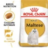 ROYAL CANIN Maltese Adult 500g X2 -Chien Fournitures Boutique fre pl ROYAL CANIN Maltese Adult 500g x2 30746 1