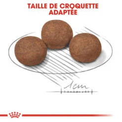 ROYAL CANIN Medium Puppy 15kg -Chien Fournitures Boutique fre pl ROYAL CANIN Medium Puppy 15kg 16145 6