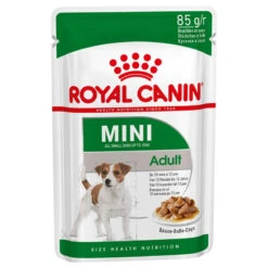 Produits populaires -Chien Fournitures Boutique fre pl ROYAL CANIN Mini Adult 12x85g 9817 2