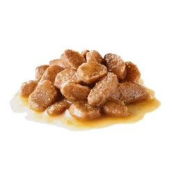 ROYAL CANIN Mini Ageing 12+ 12x85g -Chien Fournitures Boutique fre pl ROYAL CANIN Mini Ageing 12 12x85g 9818 4