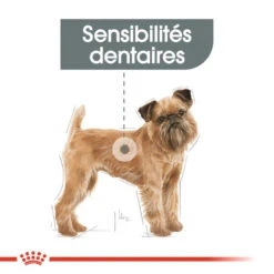 ROYAL CANIN Mini Dental Care 1kg -Chien Fournitures Boutique fre pl ROYAL CANIN Mini Dental Care 1kg 10080 7