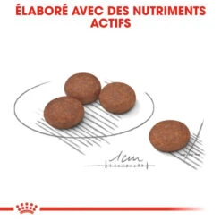 ROYAL CANIN Mini Digestive Care 1kg -Chien Fournitures Boutique fre pl ROYAL CANIN Mini Digestive Care 1kg 10082 10