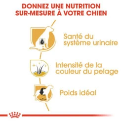 ROYAL CANIN Miniature Schnauzer Adult 7,5kg -Chien Fournitures Boutique fre pl ROYAL CANIN Miniature Schnauzer Adult 7 5kg 16847 2