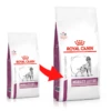 ROYAL CANIN Mobility Support 12kg -Chien Fournitures Boutique fre pl ROYAL CANIN Mobility Support 12kg 23594 2