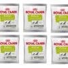 ROYAL CANIN Nutritional Supplement Educ 10x50g -Chien Fournitures Boutique fre pl ROYAL CANIN Nutritional Supplement Educ 10x50g 29779 4