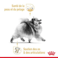 ROYAL CANIN Pomeranian Adult 3kg -Chien Fournitures Boutique fre pl ROYAL CANIN Pomeranian Adult 3kg 13394 3