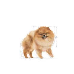 ROYAL CANIN Pomeranian Adult 500g X2 -Chien Fournitures Boutique fre pl ROYAL CANIN Pomeranian Adult 500g x2 30705 3