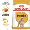 ROYAL CANIN Poodle Adult 1,5kg -Chien Fournitures Boutique fre pl ROYAL CANIN Poodle Adult 1 5kg 9428 1