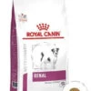 ROYAL CANIN Renal Small Dog 3,5kg X2 -Chien Fournitures Boutique fre pl ROYAL CANIN Renal Small Dog 3 5kg x2 30658 1