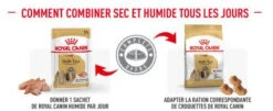ROYAL CANIN Shih Tzu Adult 12x85g -Chien Fournitures Boutique fre pl ROYAL CANIN Shih Tzu Adult 12x85g 12522 5