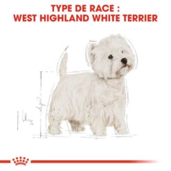 ROYAL CANIN West Highland White Terrier Adult 1,5kg -Chien Fournitures Boutique fre pl ROYAL CANIN West Highland White Terrier Adult 1 5kg 16157 5