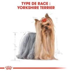 ROYAL CANIN Yorkshire Terrier Adult 3kg -Chien Fournitures Boutique fre pl ROYAL CANIN Yorkshire Terrier Adult 3kg 9907 3