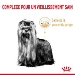 ROYAL CANIN Yorkshire Terrier Adult 8+ 1,5kg -Chien Fournitures Boutique fre pl ROYAL CANIN Yorkshire Terrier Adult 8 1 5kg 12529 6