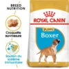 Royal Canin Boxer Puppy 12kg -Chien Fournitures Boutique fre pl Royal Canin Boxer Puppy 12kg 9124 1