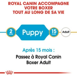 Royal Canin Boxer Puppy 12kg -Chien Fournitures Boutique fre pl Royal Canin Boxer Puppy 12kg 9124 4