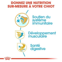 Royal Canin Boxer Puppy 12kg -Chien Fournitures Boutique fre pl Royal Canin Boxer Puppy 12kg 9124 5