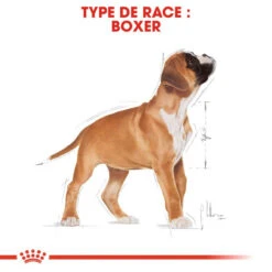Royal Canin Boxer Puppy 12kg -Chien Fournitures Boutique fre pl Royal Canin Boxer Puppy 12kg 9124 6